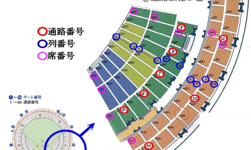 白色陨石是什么陨石-白色半透明陨石功效网 | 白色的陨石长什么样,白色陨石极为罕见