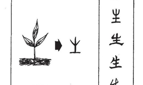 白色半透明陨石功效网 | 白色的陨石长什么样,白色陨石极为罕见